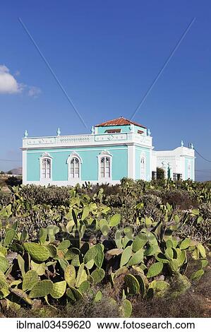 "Villa surrounded by cacti, Antigua, Fuerteventura, Canary Islands, Spain, Europe" View Large Photo Image Stock Image - "Villa surrounded by cacti, Antigua, Fuerteventura, Canary Islands, Spain, Europe". Fotosearch