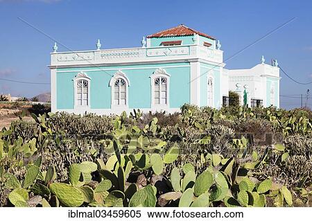 "Villa surrounded by cacti, Antigua, Fuerteventura, Canary Islands, Spain, Europe" View Large Photo Image Stock Photography - "Villa surrounded by cacti, Antigua, Fuerteventura, Canary Islands, Spain, Europe". Fotosearch