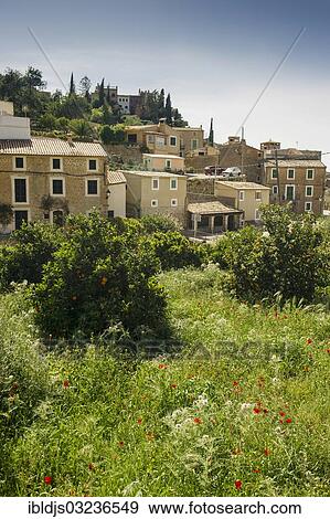 Stock Photo - "Village and a flower meadow, Estellencs, Majorca, Balearic Islands, Spain, Europe". Fotosearch