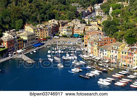 "Village and port of Portofino, Ligurian Coast, Liguria, Italy, Europe" View Large Photo Image Stock Photo - "Village and port of Portofino, Ligurian Coast, Liguria, Italy, Europe". Fotosearch