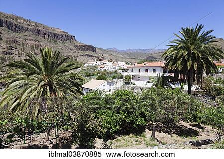 "Village of Fataga, Gran Canaria, Canary Islands, Spain, Europe" View Large Photo Image Stock Photography - "Village of Fataga, Gran Canaria, Canary Islands, Spain, Europe". Fotosearch