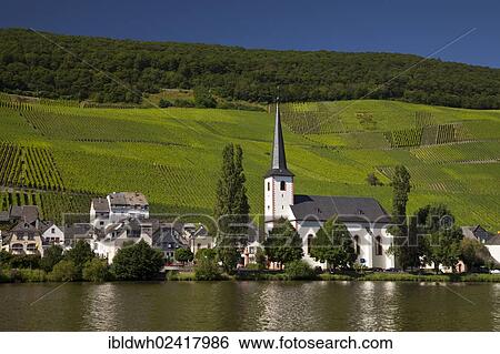 Village of Piesport with the Parish Church surrounded by vineyards, Piesport, Rhineland-Palatinate, Germany, Europe, OeffentlicherGround, Europe View Large Photo Image Stock Photograph - Village of Piesport with the Parish Church surrounded by vineyards, Piesport, Rhineland-Palatinate, Germany, Europe, OeffentlicherGround, Europe. Fotosearch