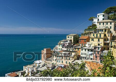 "Village of Riomaggiore, Cinque Terre, La Spezia Province, Liguria, Italy, Europe" View Large Photo Image Stock Image - "Village of Riomaggiore, Cinque Terre, La Spezia Province, Liguria, Italy, Europe". Fotosearch