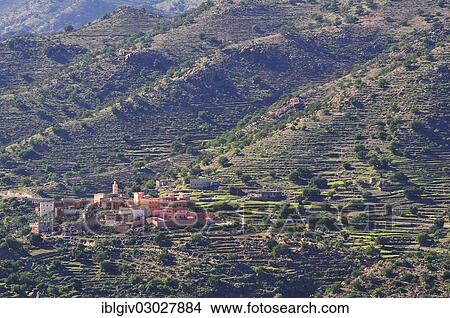 "Village surrounded by terraced fields, Tazoult, Souss-Massa-Draa, Antiatlas, Morocco, Africa" View Large Photo Image Picture - "Village surrounded by terraced fields, Tazoult, Souss-Massa-Draa, Antiatlas, Morocco, Africa". Fotosearch
