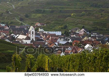 Stock Image - "Village surrounded by vineyards, Oberbergen, Vogtsburg im Kaiserstuhl, Baden-Wurttemberg, Germany, Europe". Fotosearch