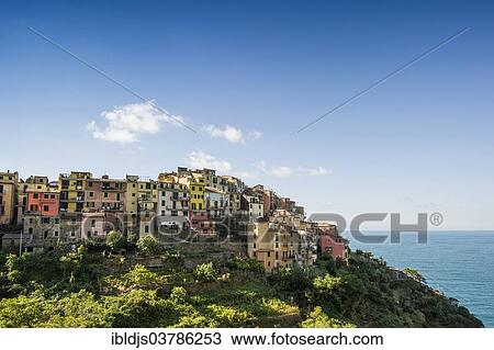 "Village with colorful houses by the sea, Corniglia, Cinque Terre, UNESCO World Heritage Site, Province of La Spezia, Liguria, Italy, Europe" View Large Photo Image Stock Image - "Village with colorful houses by the sea, Corniglia, Cinque Terre, UNESCO World Heritage Site, Province of La Spezia, Liguria, Italy, Europe". Fotosearch