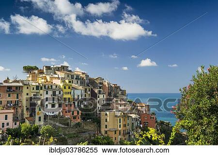 Stock Photography - "Village with colorful houses by the sea, Corniglia, Cinque Terre, UNESCO World Heritage Site, Province of La Spezia, Liguria, Italy, Europe". Fotosearch