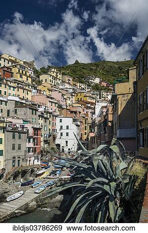 "Village with colorful houses, Riomaggiore, Cinque Terre, UNESCO World Heritage Site, Province of La Spezia, Liguria, Italy, Europe" View Large Photo Image Stock Photo - "Village with colorful houses, Riomaggiore, Cinque Terre, UNESCO World Heritage Site, Province of La Spezia, Liguria, Italy, Europe". Fotosearch