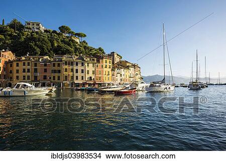 "Village with colourful houses and a harbor, Portofino, Liguria, Italy, Europe" View Large Photo Image Picture - "Village with colourful houses and a harbor, Portofino, Liguria, Italy, Europe". Fotosearch