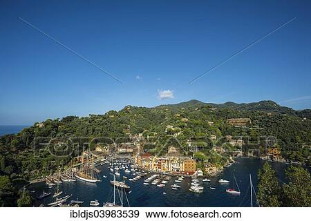 "Village with colourful houses and a harbor, Portofino, Liguria, Italy, Europe" View Large Photo Image Stock Photo - "Village with colourful houses and a harbor, Portofino, Liguria, Italy, Europe". Fotosearch