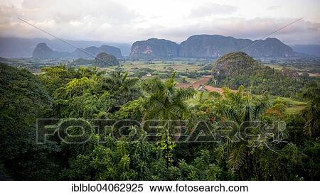 "Vinales Valley with karst mountains, Vinales, Pinar del Rio Province, Cuba, North America" View Large Photo Image Stock Photography - "Vinales Valley with karst mountains, Vinales, Pinar del Rio Province, Cuba, North America". Fotosearch