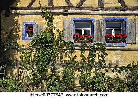 "Vines on the Hackerhaus building, originally from Ergersheim, built in 1706, relocated to the Franconian Open Air Museum in Bad Windsheim, Middle Franconia, Bavaria, Germany, Europe" View Large Photo Image Stock Image - "Vines on the Hackerhaus building, originally from Ergersheim, built in 1706, relocated to the Franconian Open Air Museum in Bad Windsheim, Middle Franconia, Bavaria, Germany, Europe". Fotosearch