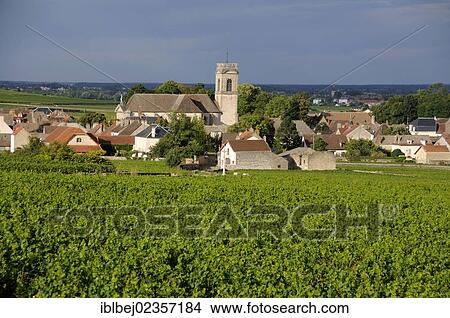 Picture - "Vineyard and village of Pommard, Cote d'Or, Route des grands crus, Burgundy, France, Europe". Fotosearch