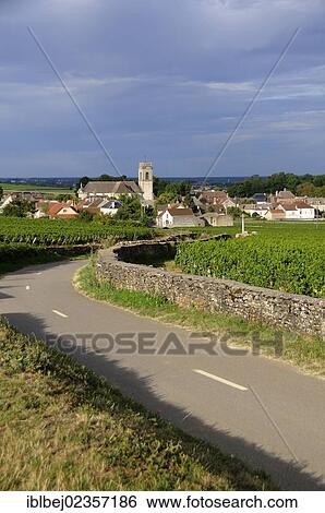 "Vineyard and village of Pommard, Cote d'Or, Route des grands crus, Burgundy, France, Europe" View Large Photo Image Stock Photograph - "Vineyard and village of Pommard, Cote d'Or, Route des grands crus, Burgundy, France, Europe". Fotosearch