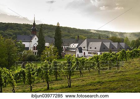 "Vineyard, Cistercian monastery, Kloster Eberbach or Eberbach Abbey, Eltville am Rhein, Rheingau, Hesse, Germany, Europe" View Large Photo Image Stock Photography - "Vineyard, Cistercian monastery, Kloster Eberbach or Eberbach Abbey, Eltville am Rhein, Rheingau, Hesse, Germany, Europe". Fotosearch