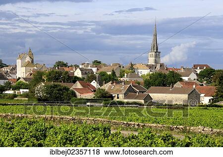 "Vineyard in front of the village of Meursault, Burgundy Wine Road, Cote d'Or, Burgundy, France, Europe" View Large Photo Image Stock Photo - "Vineyard in front of the village of Meursault, Burgundy Wine Road, Cote d'Or, Burgundy, France, Europe". Fotosearch