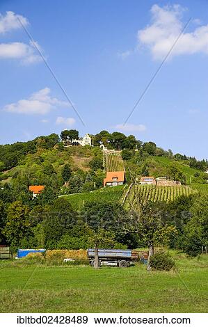 "Vineyard in Radebeul, Saxony, Germany, Europe" View Large Photo Image Stock Photo - "Vineyard in Radebeul, Saxony, Germany, Europe". Fotosearch