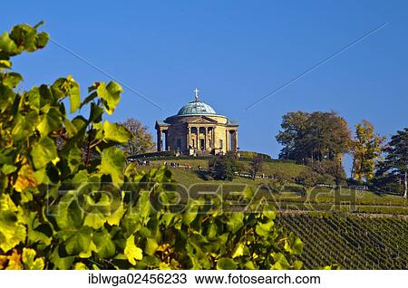 Stock Image - "Vineyard with Lemberger grapes on Rotenberg Mountain with Wuerttemberg Mausoleum near Stuttgart, Baden-Wuerttemberg, Germany, Europe, PublicGround, Europe". Fotosearch