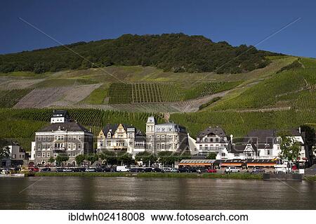 Vineyards above the bank of the Moselle River in the district of Bernkastel, Bernkastel-Kues, Moselle, Rhineland-Palatinate, Germany, Europe, OeffentlicherGrund, Europe View Large Photo Image Stock Photo - Vineyards above the bank of the Moselle River in the district of Bernkastel, Bernkastel-Kues, Moselle, Rhineland-Palatinate, Germany, Europe, OeffentlicherGrund, Europe. Fotosearch