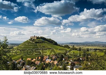 Stock Photography - "Vineyards and Staufen castle, behind the Rhine Valley, Staufen im Breisgau, Markgraflerland, Black Forest, Baden-Wurttemberg, Germany, Europe". Fotosearch