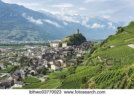 Stock Image - "Vineyards and the Bayart Tower on a hill, Saillon, Martigny, Canton of Valais, Switzerland, Europe". Fotosearch