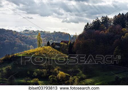 "Vineyards in autumn, at Gamlitz, Southern Styria, Styria, Austria, Europe" View Large Photo Image Stock Image - "Vineyards in autumn, at Gamlitz, Southern Styria, Styria, Austria, Europe". Fotosearch