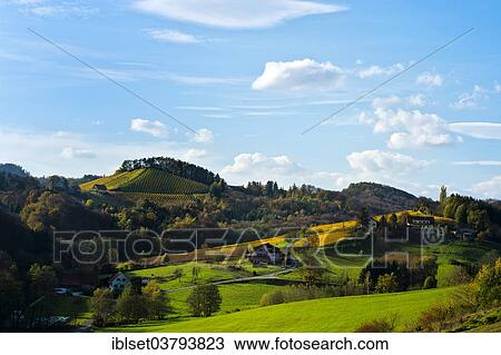 "Vineyards in autumn, at Gamlitz, Southern Styria, Styria, Austria, Europe" View Large Photo Image Stock Image - "Vineyards in autumn, at Gamlitz, Southern Styria, Styria, Austria, Europe". Fotosearch
