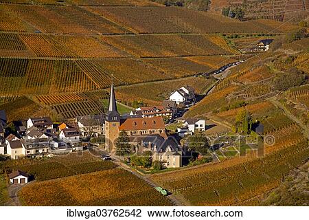 "Vineyards in the Ahrtal valley in autumn, Mayschoss, Rhineland-Palatinate, Germany, Europe" View Large Photo Image Stock Image - "Vineyards in the Ahrtal valley in autumn, Mayschoss, Rhineland-Palatinate, Germany, Europe". Fotosearch