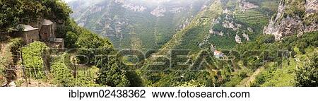 "Vineyards on """"The Walk of The Gods"""" pathway, Nocelle, Amalfi Coast, Italy, Europe" View Large Photo Image Stock Image - "Vineyards on """"The Walk of The Gods"""" pathway, Nocelle, Amalfi Coast, Italy, Europe". Fotosearch