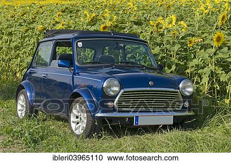 "Vintage Rover Mini 1. 3 Sport, built in 1959" View Large Photo Image Stock Image - "Vintage Rover Mini 1. 3 Sport, built in 1959". Fotosearch