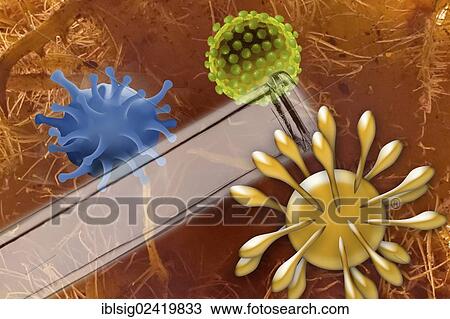 Viruses with a test tube, illustration View Large Photo Image Stock Image - Viruses with a test tube, illustration. Fotosearch