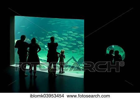 "Visitors in front of a aquarium, Nordsoen Oceanarium, Hirtshals, North Jutland, Denmark, Europe" View Large Photo Image Picture - "Visitors in front of a aquarium, Nordsoen Oceanarium, Hirtshals, North Jutland, Denmark, Europe". Fotosearch
