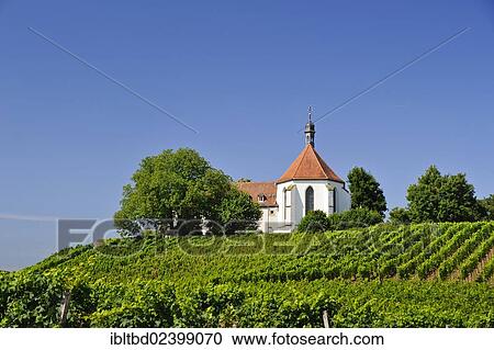 Stock Image - "Vogelburg Monastery and vineyard, Volkach, Bavaria, Germany, Europe". Fotosearch