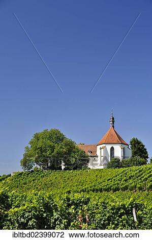 Stock Image - "Vogelburg Monastery and vineyard, Volkach, Bavaria, Germany, Europe". Fotosearch