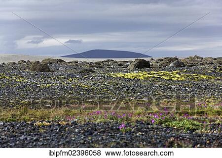 "Volcanic Landscape, Highlands Northern Iceland Europe" View Large Photo Image Stock Photo - "Volcanic Landscape, Highlands Northern Iceland Europe". Fotosearch