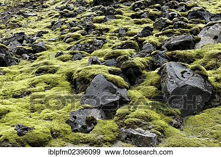 "Volcanic landscape, Landmannalaugar, Iceland, Europe" View Large Photo Image Stock Photo - "Volcanic landscape, Landmannalaugar, Iceland, Europe". Fotosearch