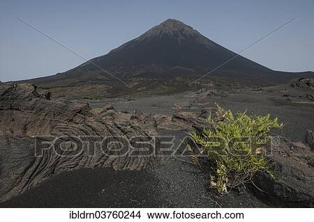 "Volcanic rock and ash, volcanic landscape, behind the volcano Pico do Fogo, Fogo National Park, Fogo island, Cape Verde, Africa" View Large Photo Image Picture - "Volcanic rock and ash, volcanic landscape, behind the volcano Pico do Fogo, Fogo National Park, Fogo island, Cape Verde, Africa". Fotosearch