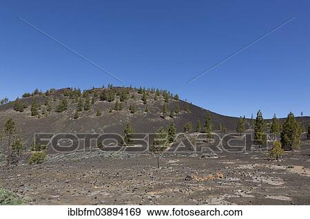 "Volcano Samara, 1938 m, Teide National Park, UNESCO World Heritage Site, Tenerife, Canary Islands, Spain, Europe" View Large Photo Image Stock Photo - "Volcano Samara, 1938 m, Teide National Park, UNESCO World Heritage Site, Tenerife, Canary Islands, Spain, Europe". Fotosearch