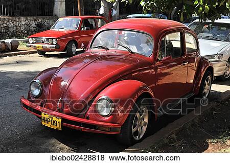 "VW Beetle, classic car in the city center of Havana, Centro Habana, Cuba, Greater Antilles, Central America, America, North America" View Large Photo Image Stock Photo - "VW Beetle, classic car in the city center of Havana, Centro Habana, Cuba, Greater Antilles, Central America, America, North America". Fotosearch