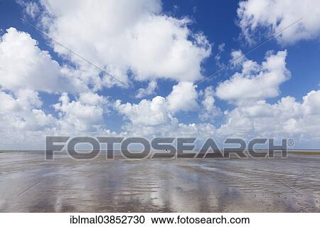 "Wadden Sea at low tide, Westerheversand, Eiderstedt, Schleswig-Holstein, Germany, Europe" View Large Photo Image Stock Image - "Wadden Sea at low tide, Westerheversand, Eiderstedt, Schleswig-Holstein, Germany, Europe". Fotosearch