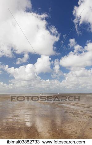"Wadden Sea at low tide, Westerheversand, Eiderstedt, Schleswig-Holstein, Germany, Europe" View Large Photo Image Stock Image - "Wadden Sea at low tide, Westerheversand, Eiderstedt, Schleswig-Holstein, Germany, Europe". Fotosearch