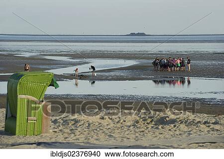 "Wadden Sea hiking group near Wyk, Foehr island, North Frisia, Schleswig-Holstein, Germany, Europe" View Large Photo Image Stock Image - "Wadden Sea hiking group near Wyk, Foehr island, North Frisia, Schleswig-Holstein, Germany, Europe". Fotosearch