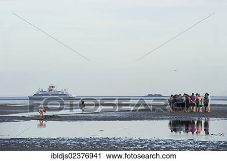 "Wadden Sea hiking group near Wyk, Foehr island, North Frisia, Schleswig-Holstein, Germany, Europe" View Large Photo Image Stock Image - "Wadden Sea hiking group near Wyk, Foehr island, North Frisia, Schleswig-Holstein, Germany, Europe". Fotosearch