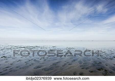 Stock Photo - "Wadden Sea near Wyk, Foehr island, North Frisia, Schleswig-Holstein, Germany, Europe". Fotosearch