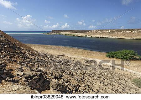 "Wadi Darbat in Salalah, Dhofar region, Sultanate of Oman, Arabian Peninsula" View Large Photo Image Stock Photo - "Wadi Darbat in Salalah, Dhofar region, Sultanate of Oman, Arabian Peninsula". Fotosearch