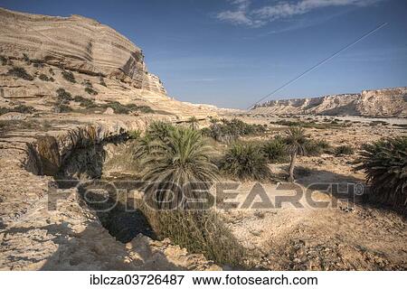 "Wadi, Dhofar, Oman, Asia" View Large Photo Image Stock Photo - "Wadi, Dhofar, Oman, Asia". Fotosearch