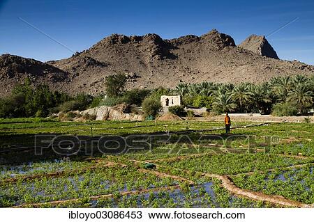 "Wadi Tanuf, Tanuf, Oman, Asia" View Large Photo Image Stock Image - "Wadi Tanuf, Tanuf, Oman, Asia". Fotosearch