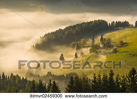 "Wafts of fog in autumn, Sommeralm alpine pasture, Styria, Austria, Europe" View Large Photo Image Stock Image - "Wafts of fog in autumn, Sommeralm alpine pasture, Styria, Austria, Europe". Fotosearch
