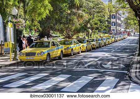 "Waiting taxis in the Av. Arriaga in the historic town centre of Funchal, Santa Luzia, Funchal, Madeira, Portugal, Europe" View Large Photo Image Stock Photo - "Waiting taxis in the Av. Arriaga in the historic town centre of Funchal, Santa Luzia, Funchal, Madeira, Portugal, Europe". Fotosearch