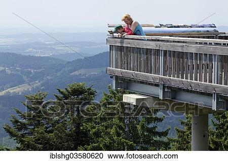 "Waldwipfelweg tree top trail, Maibrunn, Bavaria, Germany, Europe" View Large Photo Image Stock Image - "Waldwipfelweg tree top trail, Maibrunn, Bavaria, Germany, Europe". Fotosearch